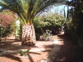 Foto miniatura 4