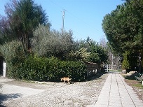 Immagine annuncio