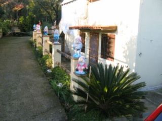 Foto miniatura 3