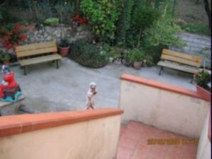 Foto miniatura 4