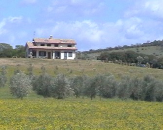 Foto miniatura 2