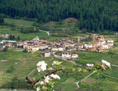 Immagine annuncio