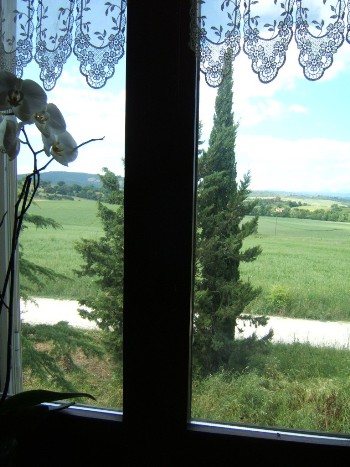 Foto miniatura 3