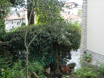 Foto miniatura 4