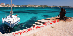 Immagine annuncio
