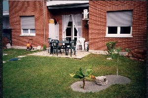Foto miniatura 3