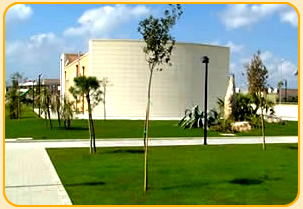 Foto miniatura 4