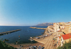 Foto miniatura 4