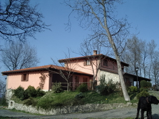 Foto miniatura 2