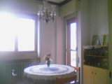 Foto miniatura 3
