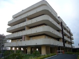 Foto miniatura 2