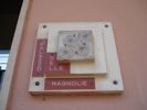 Foto miniatura 2