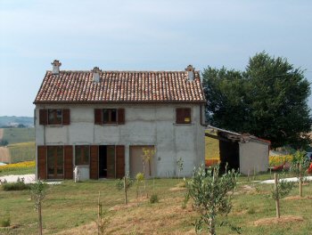 Immagine annuncio