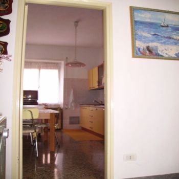 Foto miniatura 3
