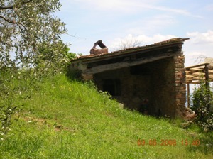 Foto miniatura 3