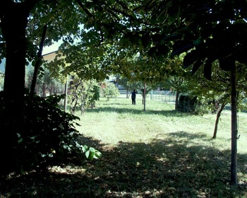 Foto miniatura 3