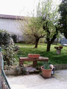 Foto miniatura 2