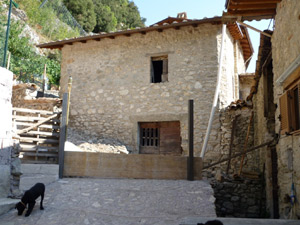 Immagine annuncio
