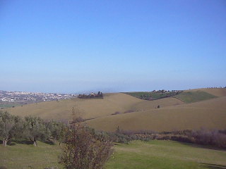 Immagine annuncio