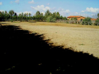 Foto miniatura 3