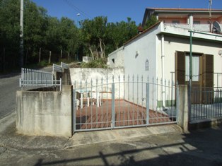 Foto miniatura 2