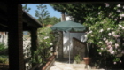 Foto miniatura 3