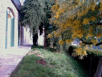 Foto miniatura 3