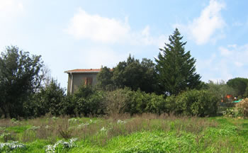 Foto miniatura 4