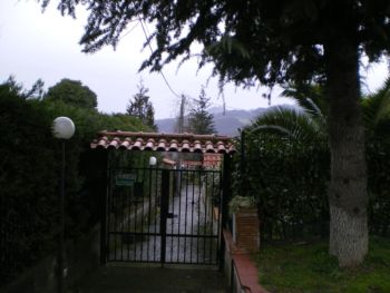 Foto miniatura 3