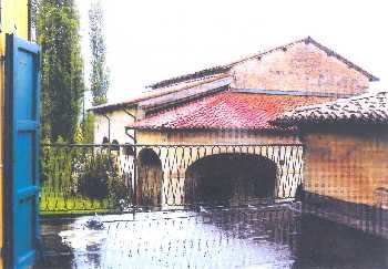 Foto miniatura 3
