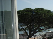 Immagine annuncio