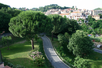 Immagine annuncio