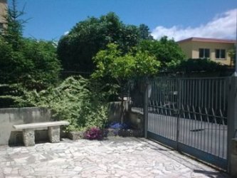 Foto miniatura 3