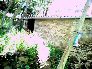 Foto miniatura 3