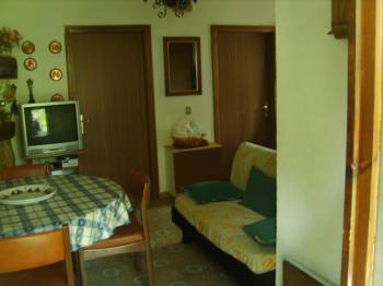Foto miniatura 2