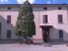 Immagine annuncio