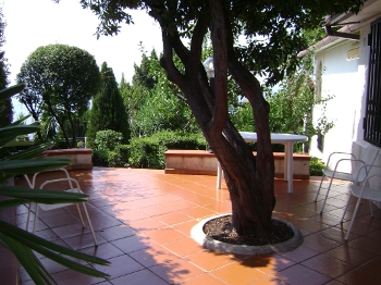 Foto miniatura 3