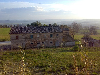 Immagine annuncio