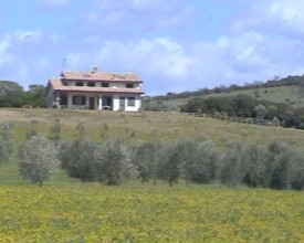 Foto miniatura 3
