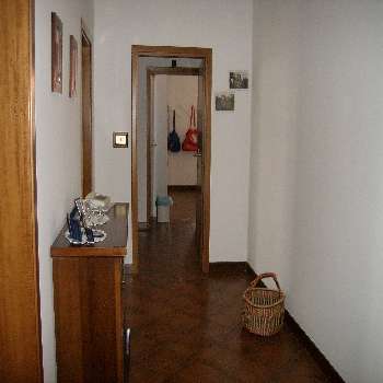 Foto miniatura 3