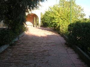 Foto miniatura 4