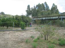 Foto miniatura 4