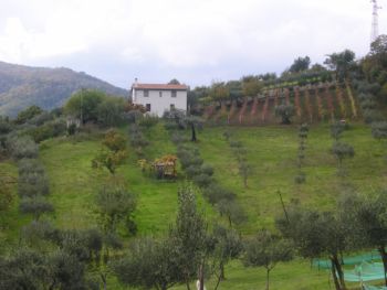 Immagine annuncio