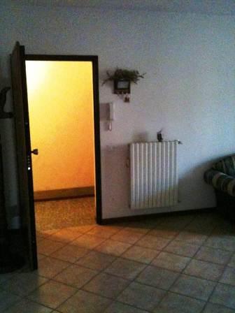 Foto miniatura 2