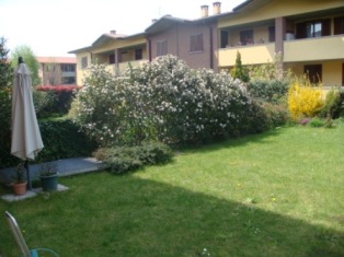 Foto miniatura 3