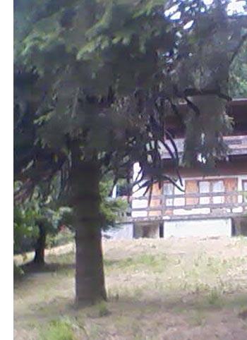 Foto miniatura 2