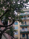 Foto miniatura 2