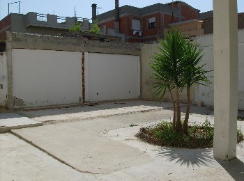 Foto miniatura 3