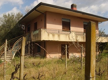 Immagine annuncio
