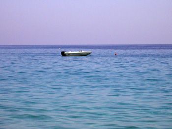 Immagine annuncio